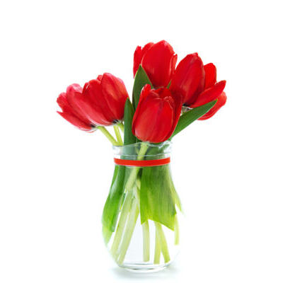 Rote Tulpen